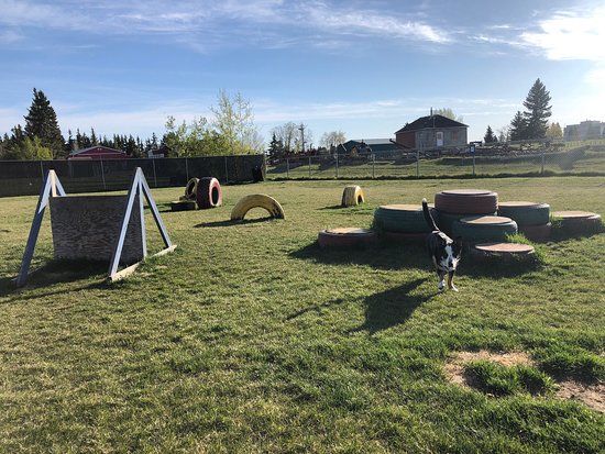 Lloydminster's Off Leash Dog Park